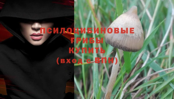 мет Пестово