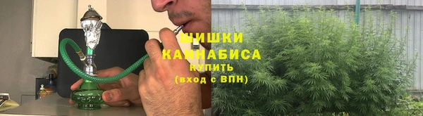 индика Пересвет