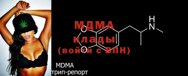 индика Пересвет