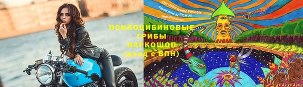 индика Пересвет