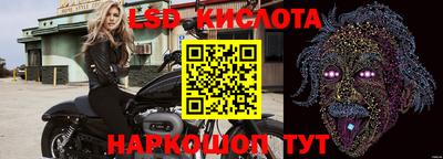крисы Кандалакша