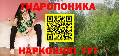 крисы Кандалакша