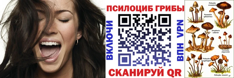 Псилоцибиновые грибы Magic Shrooms  купить  цена  Буйнакск 