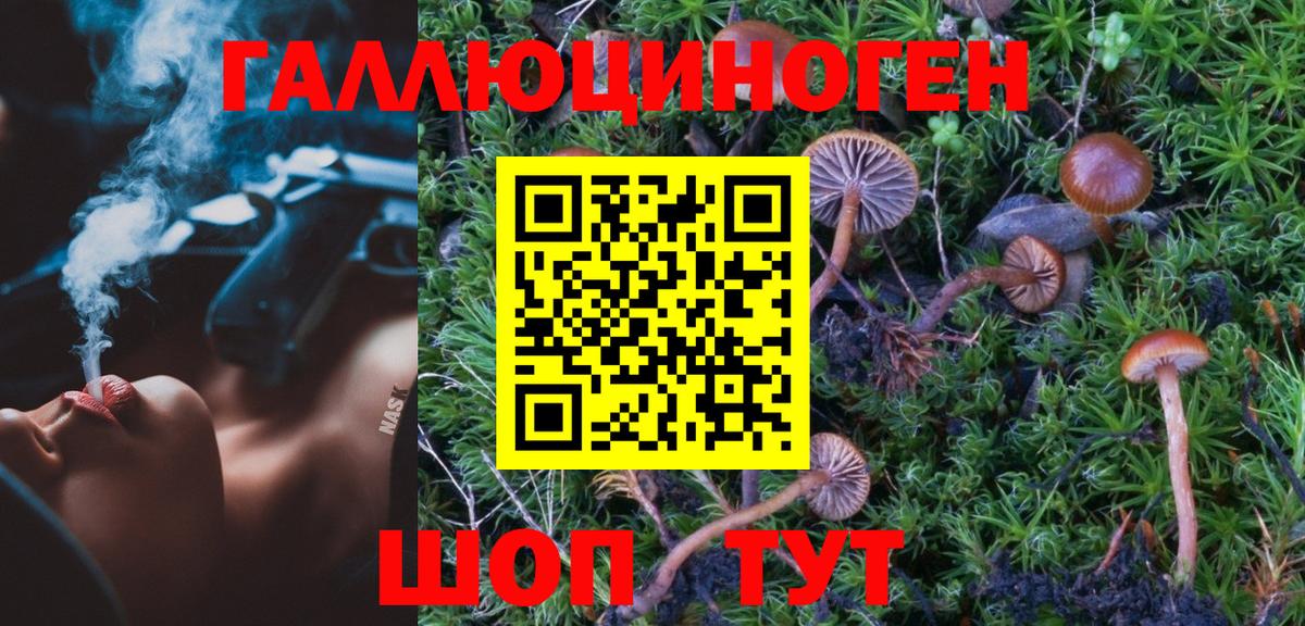 Псилоцибиновые грибы Psilocybe  Галлюциногенные грибы мицелий  магазин  наркотиков  Вход с VPN  Буйнакск 