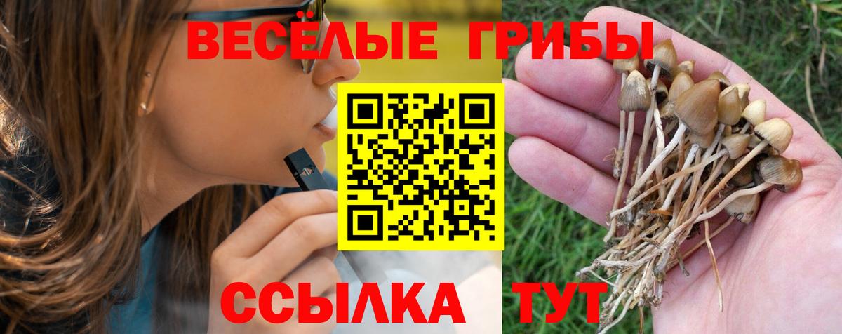 Галлюциногенные грибы прущие грибы Буйнакск